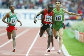 Image result for Lichtbeige 1981 KIP