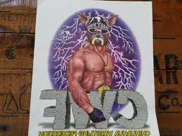 Vintage WWF WCW Iron