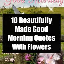 If so, use these 95 beautiful good morning quotes to create positive thinking and motivation for your day. 10 Beautifully Made Good Morning Quotes With Flowers