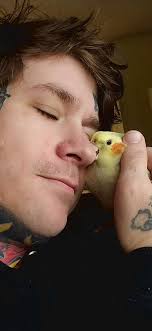 Cockatiel photos to brighten up my day please