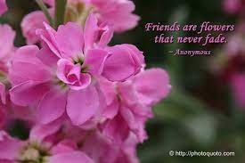 Where flowers bloom so does hope. Pin On Ideas For The House