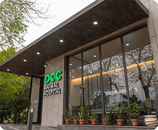 Happy pets at DCC Animal Hospital
