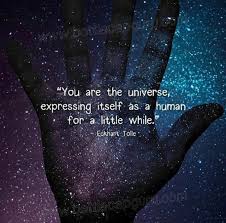 Pin By Jenny Weiss On Coisinhas Awakening Quotes Eckhart Tolle Quotes Universe Quotes