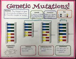 Mutations Graphic Notes Genetics Biology Classroom Biology