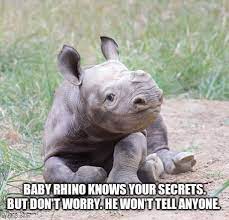 Tell A Secret About Somebody You Know To Baby Rhino Don T Worry He Ll Keep It Between Us 9gag