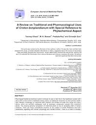 Image result for Croton steenkampianus