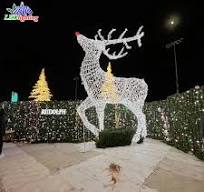 CE/ROHS Outdoor Christmas 3d Deer Led Motif Light