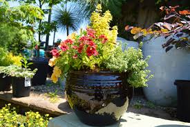 Maybe you would like to learn more about one of these? Container Gardening Garden Supply Co
