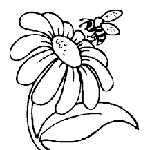 Seguimos con el listado de abejas lindas para colorear. Dibujo De Margarita Con Abeja Para Colorear Dibujos Net