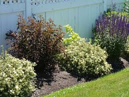 I have some beautiful,purple leaved, ninebarks. High Impact Native American Shrubs Ecological Landscape Alliance