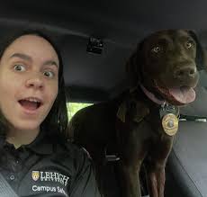 ☀️ Last day of summer before classes kick off and swim season gets closer!  For our final edition of 𝐖𝐀𝐎𝐁 (𝐖𝐡𝐞𝐫𝐞 𝐀𝐫𝐞 𝐎𝐮𝐫 𝐁𝐞𝐚𝐫𝐬?)  🐻☀️ let's see what a few more of