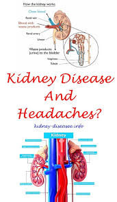 How Long Can You Live After A Kidney Transplant Kidney Disease Diet Polycystic Kidney Disease Kidney Failure Treatment