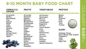 8 To 10 Month Baby Food Chart Dishes 10 Months Baby Food