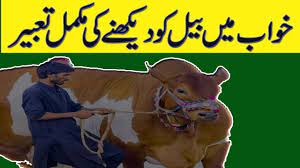 One way a dreamer unconsciously handles damaging shock is to see. Camel Dream Meaning And Islamic Interpretation In Urdu Hindi Youtube