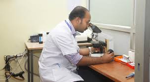 Lab view 12