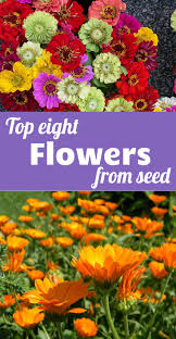 Maybe you would like to learn more about one of these? 410 Flowers Ideas In 2021 Flowers Beautiful Flowers Flower Garden