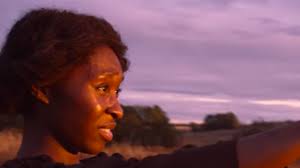 Will HARRIET Shine a Light