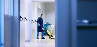 Domestiks Professional Cleaning Services Portland Saco Maine