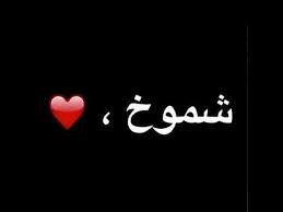 قصيده باسم شموخ Youtube