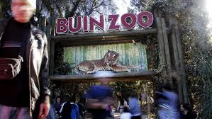 For an annotated list of defunct zoos and aquariums, see list of former zoos and aquariums. Buin Zoo Sufre Por La Pandemia De Coronavirus Recinto Lleva Mas De 100 Dias Cerrado Al Publico Meganoticias