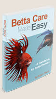 Betta Fish Diseases Chart Fin Rot Dropsy Popeye Betta Fish Care Betta Fish Care