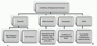 As a business, it is tempting to download a template employment contract in order to save time and. Employment Contract Types And Terms And Conditions Permitted By Law Employment And Hr Turkey