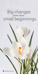Inspiration For New Beginnings Big Changes Grow From Small Beginnings Alluring Quotes New Beginning Quotes New Beginnings