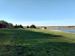 I just mow a couple of acres to keep it nice. Pasture, wildflowers, food  plots for the wildlife and 30 acres of woods take up the rest of the 80  acres.
