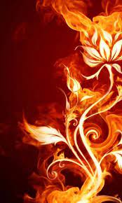 We did not find results for: 25 Gambar Wallpaper Api Keren Gambar Keren Coy