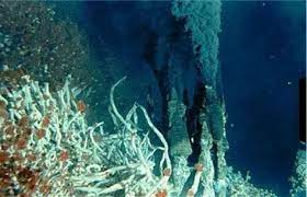 What is the abbreviation for loki's castle vent field? 13 Loki S Castle Teeming With Life 19 Amazing Underwater Discoveries Underwater Deep Sea Weird Creatures