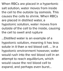 Program within @mayoclinicgradschool is currently accepting applications! Rbc Shrink When Placed In Saline Water But Swell In Distilled Water Brainly In