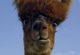 Single district maps return to district maps. 2o5yqr9ebxhbem