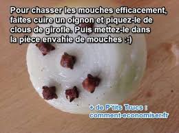 Le Meilleur Remede Contre Les Mouches Que Tout Le Monde Devrait Connaitre Remede Contre Les Mouches Chasser Les Mouches Comment Chasser Les Mouches