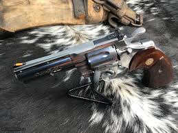 Image result for Medium Buckskin 1989 Colt