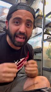 Leaf Toad and Ant SD 480p