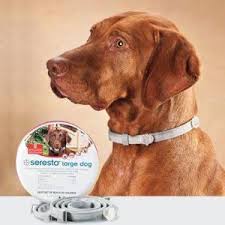 The first thing that impresses me about seresto flea collar for dogs is the length of protection it provides. Learn All About The Seresto Collar Which Is Used For Both The Cats And Dogs Also Learn About The Reviews And Side Effects Of Its Us Dogs Dog Cat Flea And