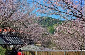Search for text in url. ä¸åªæœ‰èŠ±é˜ é™½æ˜Žå±±4è™•éš±è—ç‰ˆè³žæ«»æ™¯é»žæ«»èŠ±æ¨¹ä¸‹å–å'–å•¡ Ettodayæ—…éŠé›² Ettodayæ–°èžé›²