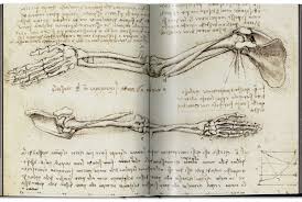 The music, politics and people that changed our culture explores the contribution of the rolling stone to journalism, cultural criticism and of course. Explore Leonardo Da Vinci S Anatomical Sketches And Lesser Known Artworks With This Coffee Table Book Mental Floss