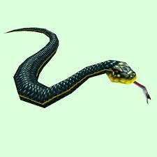 If you saw a green or yellow snake and are wondering what it is, you are in the right place. Dark Green Yellow Snake Pet Look Petopia Hunter Pets In The World Of Warcraft