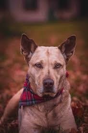 Quinn Mathis's Instagram, Twitter & Facebook