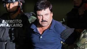 Not enough ratings to calculate a score. Who Is El Chapo And What Did He Do The Week Uk