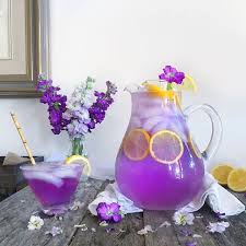 Pin On Butterfly Pea Recipe Ideas