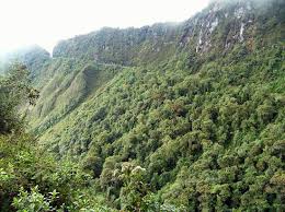 Bildresultat fÃ¶r COLOMBIA LETRAS