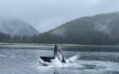 Four Elements Retreat: A Sacred Alaska Immersion