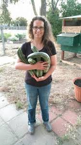 Green peas, anything in the cabbage family, spinach, lettuce, carrots. Zone 6 Vegetable Planting Guide Mary S Heirloom Seeds