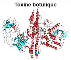 Mar 12, 2019 · botulisme : Botulisme Symptomes Traitement Definition Docteurclic Com