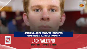 2024-25 All-SWC Boys Wrestling Honors