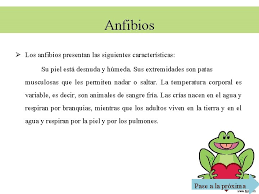 We did not find results for: Los Animales Vertebrados E Invertebrados Marivellise Mndez Agosto