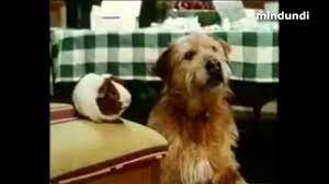 1998 Anuncio Pelicula Doctor Dolittle Eddie Murphy Publicidad Espana Comercial Youtube