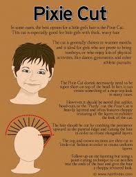 The best part is that, after several cuts, you'll be able to make easy mens haircuts at home. Pin On My Hair